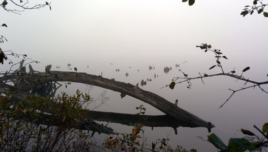 IMG_20141024_092102.jpg