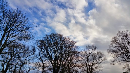 20141122_130330.jpg