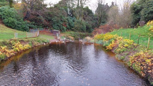 20141122_130734.jpg
