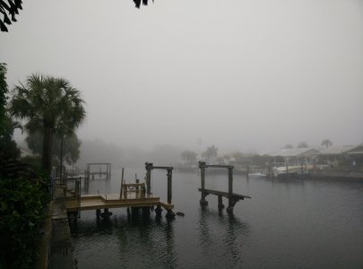 Foggy.jpg