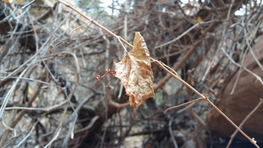 20141123_163308.jpg