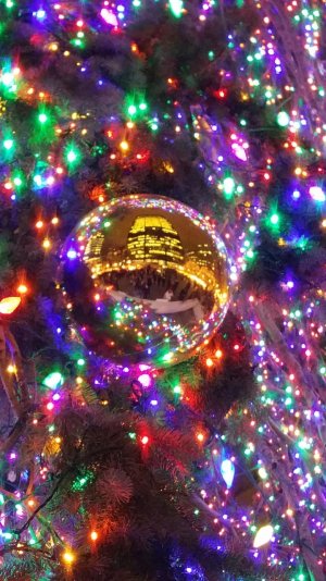 Sparkly.jpg