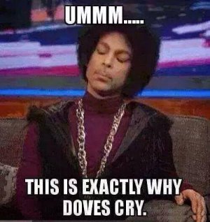 Why-Doves-Cry.jpg