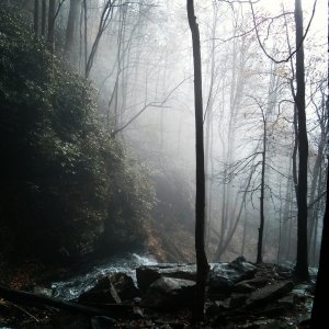 GreenvilleFod.jpg