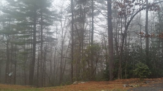 20141205_084248[1].jpg