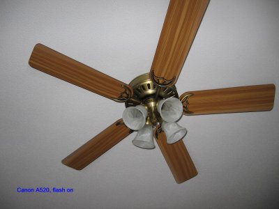 Ceiling-fan-Canon-flash-on.jpg