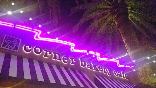 Neon Contest.jpg