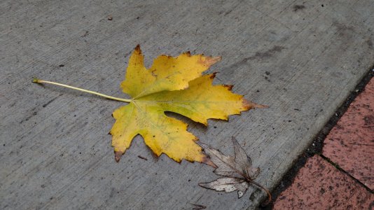 2014-11-22 11.20.19.jpg