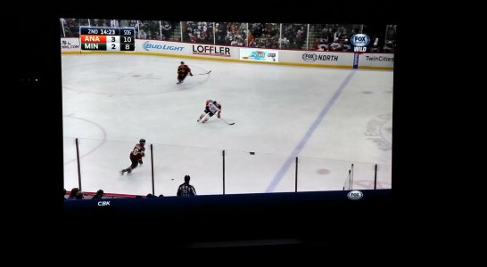 hockey-capture.jpg