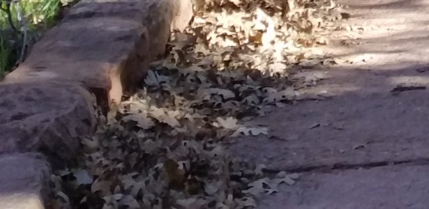 20141123_122244.jpg