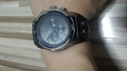 scratched_fossil.jpg
