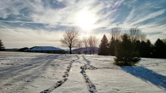 IMG_20141129_150029~2.jpg