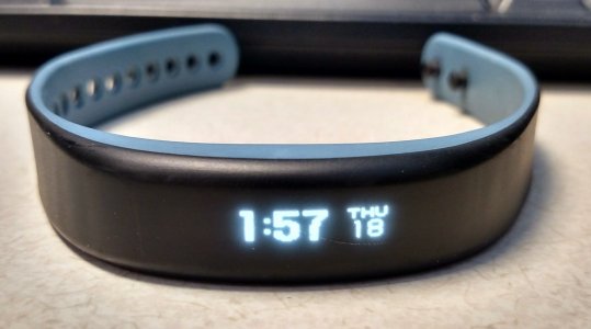 Garmin_Vivosmart.jpg