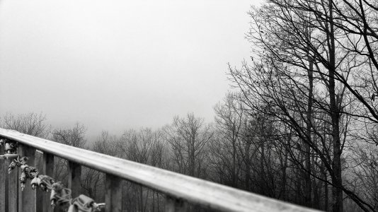 20141208_165303_1.jpg