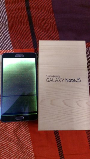 IMAG0093.jpg