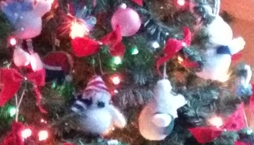 tree-standard-100crop.jpg