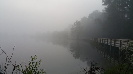 20141105_070814.jpg
