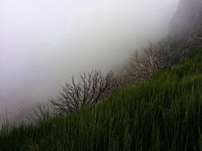 hiking in fog.jpg