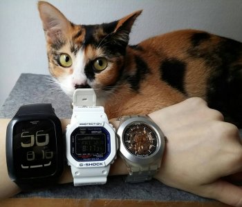 MyWatches.jpg