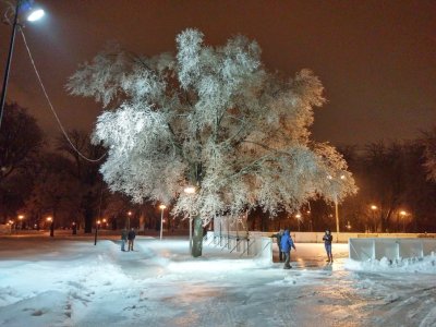 20150104_173148_HDR.jpg