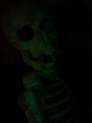 IMG_20150106_191256.jpg