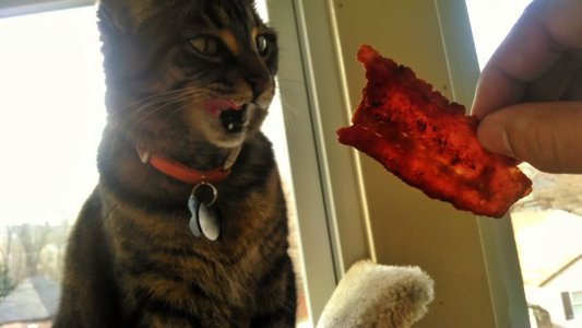 BACON.jpg