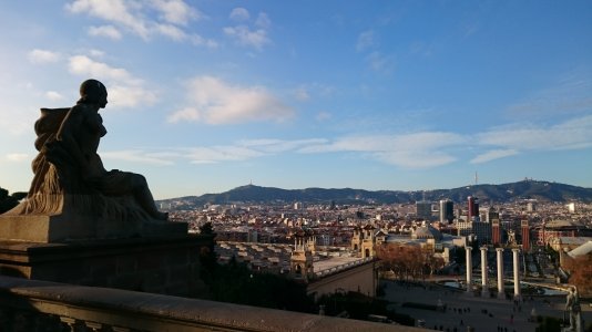 DSC_0443.jpg