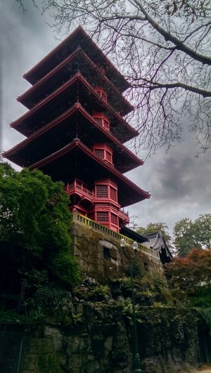 IMAG0330_1-2.jpg