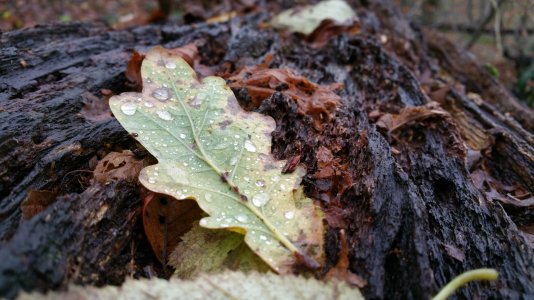 20141212_105621.jpg