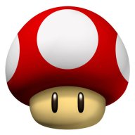 mushroom_daddy