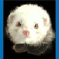 Soloberry