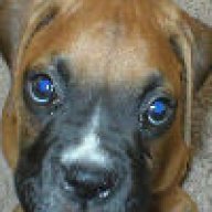 Kimber