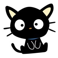 chocokat