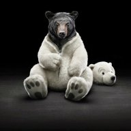 MarvBear