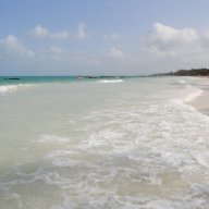 jolibah