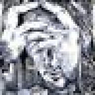 ianerhard13