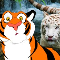 T1geRKat086