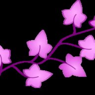 pinkivy98