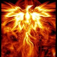 Phenix14