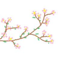 Blossom6