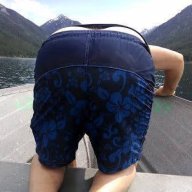 dwmitchell61