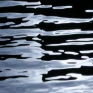 Darkwater CEO