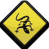 crazyroadlizard