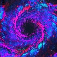 Nebuer