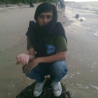 Arie Kembario