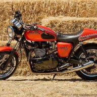 bonnie100th