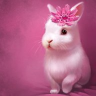 soft bunni