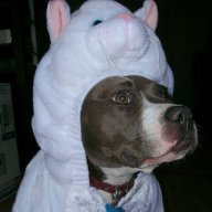 DrunkenBoxer