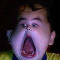 Timsam