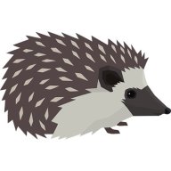 Hedgehog studio